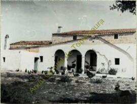 Cases del lloc de sa Torre Nova durant el comtat de Bernardo Ignacio Olives i Olives, cinquè comt...